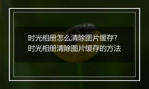 时光相册怎么清除图片缓存?时光相册清除图片缓存的方法