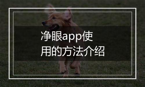 净眼app使用的方法介绍