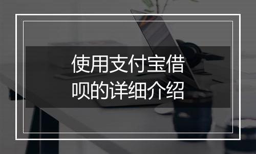 使用支付宝借呗的详细介绍
