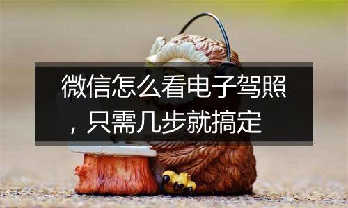 微信怎么看电子驾照，只需几步就搞定