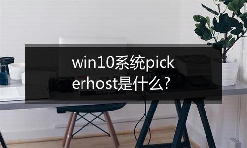 win10系统pickerhost是什么?