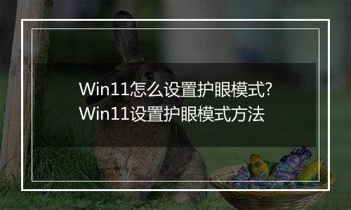 Win11怎么设置护眼模式?Win11设置护眼模式方法