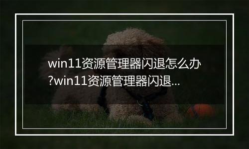 win11资源管理器闪退怎么办?win11资源管理器闪退解决方法
