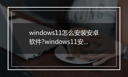 windows11怎么安装安卓软件?windows11安装安卓软件方法