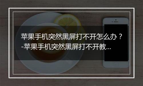 苹果手机突然黑屏打不开怎么办？-苹果手机突然黑屏打不开教程