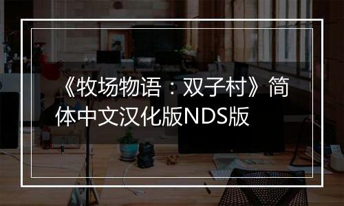 《牧场物语：双子村》简体中文汉化版NDS版