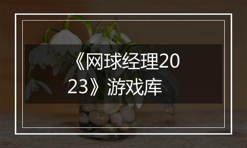 《网球经理2023》游戏库
