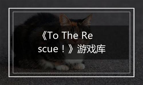 《To The Rescue！》游戏库
