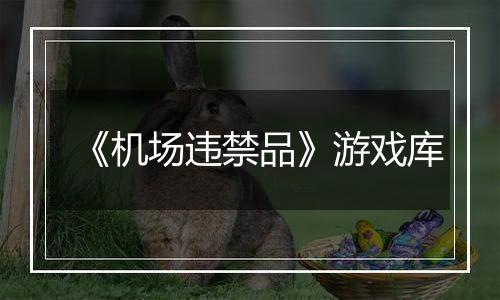 《机场违禁品》游戏库