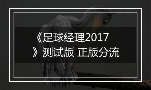 《足球经理2017》测试版 正版分流