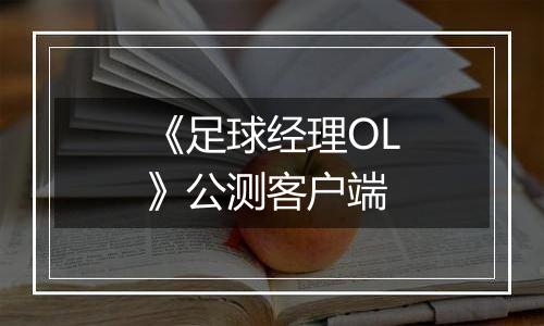 《足球经理OL》公测客户端