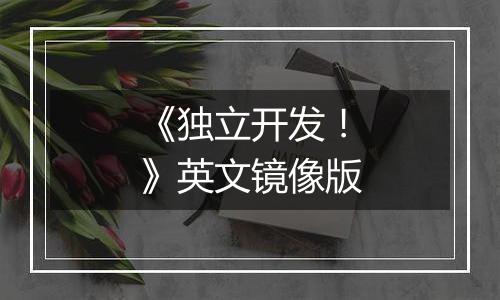 《独立开发！》英文镜像版