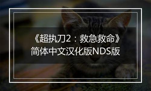《超执刀2：救急救命》简体中文汉化版NDS版
