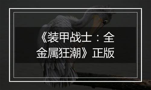 《装甲战士：全金属狂潮》正版