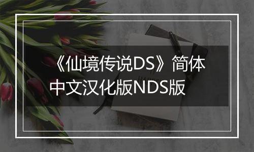 《仙境传说DS》简体中文汉化版NDS版