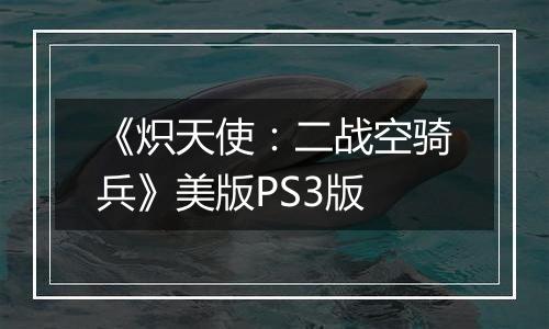 《炽天使：二战空骑兵》美版PS3版
