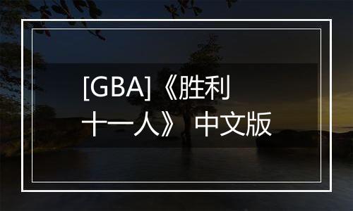 [GBA]《胜利十一人》 中文版
