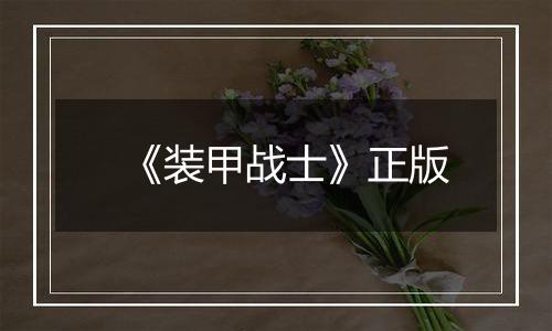 《装甲战士》正版