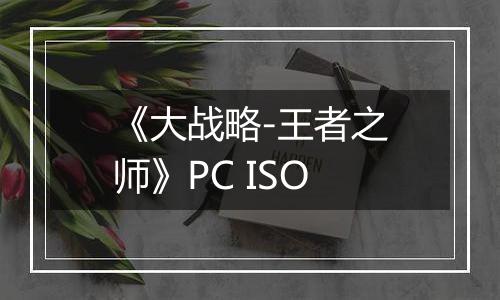 《大战略-王者之师》PC ISO