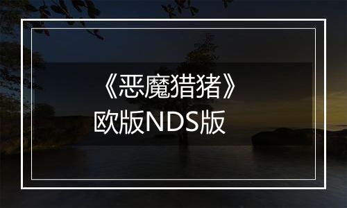 《恶魔猎猪》 欧版NDS版