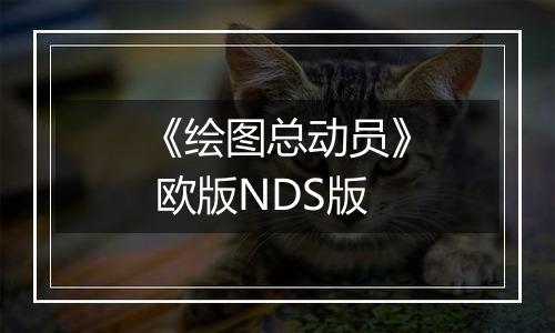 《绘图总动员》 欧版NDS版