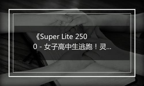 《Super Lite 2500 - 女子高中生逃跑！灵异解谜学园》 日版NDS版