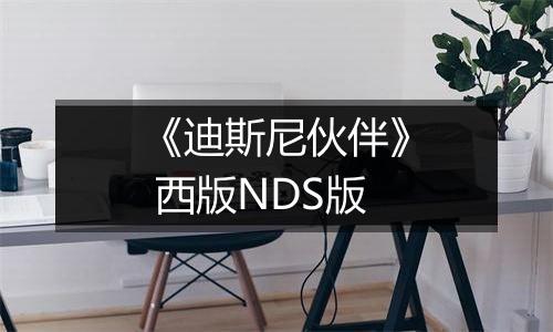 《迪斯尼伙伴》 西版NDS版