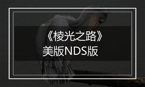 《棱光之路》美版NDS版