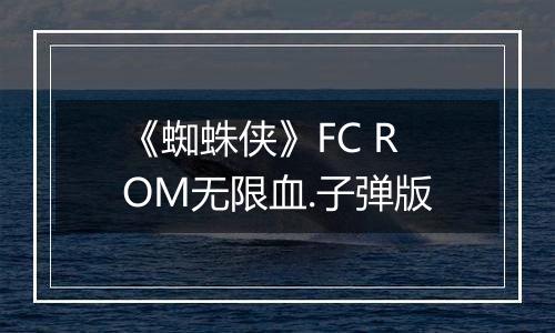 《蜘蛛侠》FC ROM无限血.子弹版