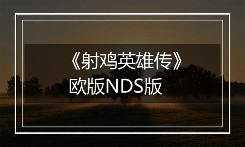 《射鸡英雄传》 欧版NDS版