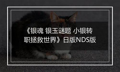 《银魂 银玉谜题 小银转职拯救世界》日版NDS版