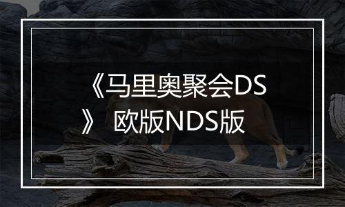 《马里奥聚会DS》 欧版NDS版