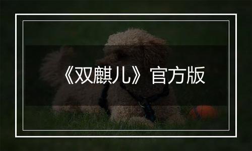 《双麒儿》官方版