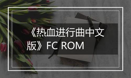 《热血进行曲中文版》FC ROM