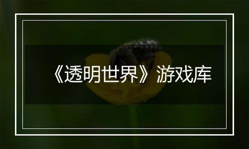 《透明世界》游戏库