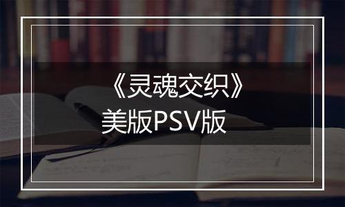 《灵魂交织》美版PSV版