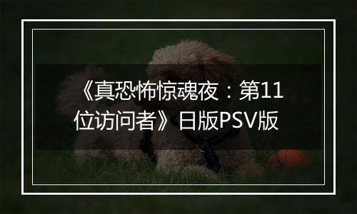 《真恐怖惊魂夜：第11位访问者》日版PSV版