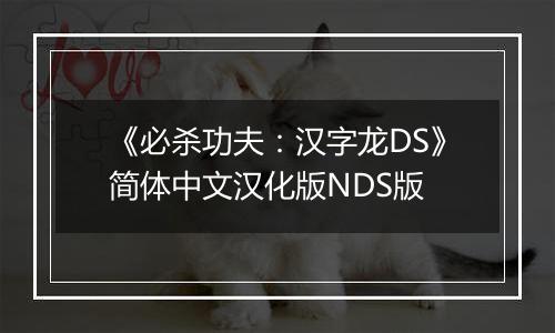 《必杀功夫：汉字龙DS》简体中文汉化版NDS版