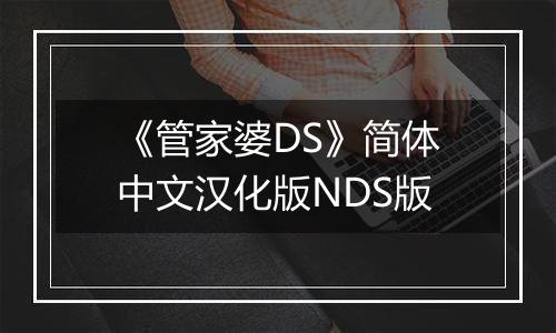 《管家婆DS》简体中文汉化版NDS版